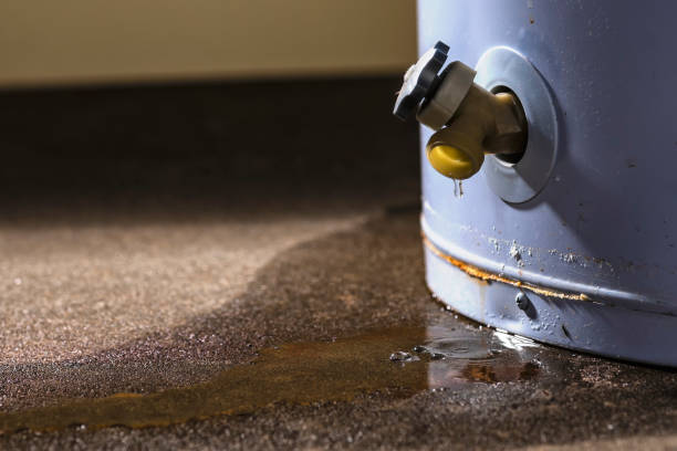 Best Flood restoration services  in Yarrow Point, WA