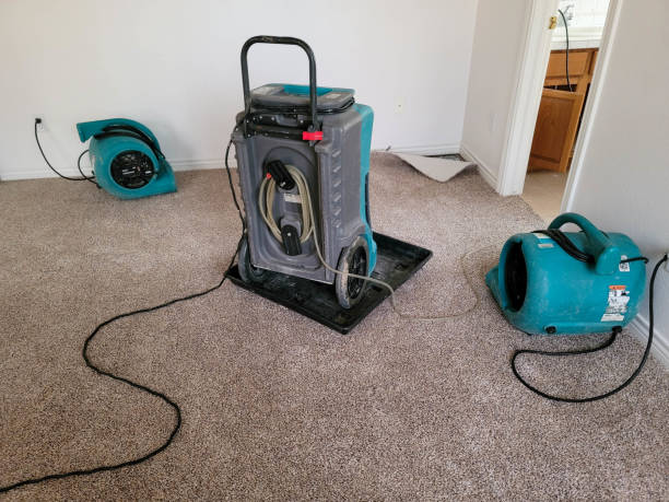 Best Carpet water damage restoration  in Yarrow Point, WA