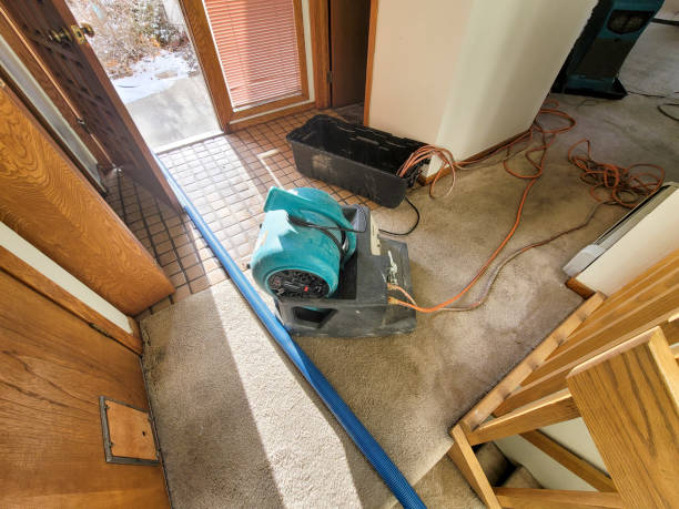 Fire Damage Restoration in WA