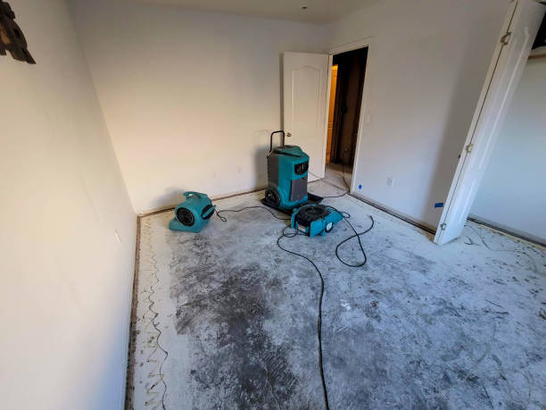 Best Professional water damage repair  in Yarrow Point, WA