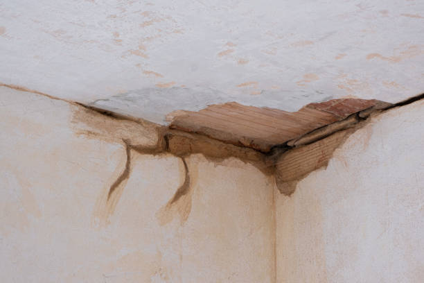 Best Flood damage cleanup  in Yarrow Point, WA