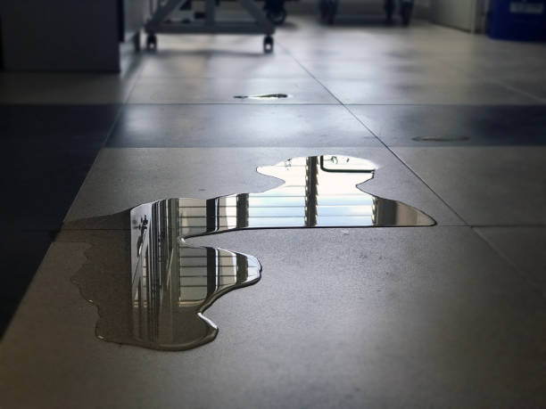 Best Water damage restoration near me  in Yarrow Point, WA