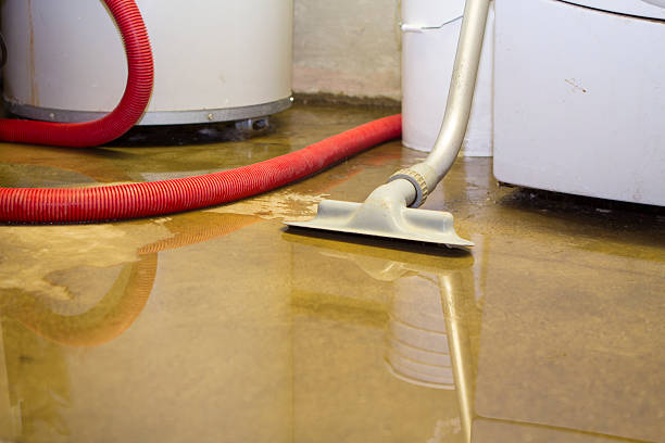 Best Water damage restoration near me  in Yarrow Point, WA
