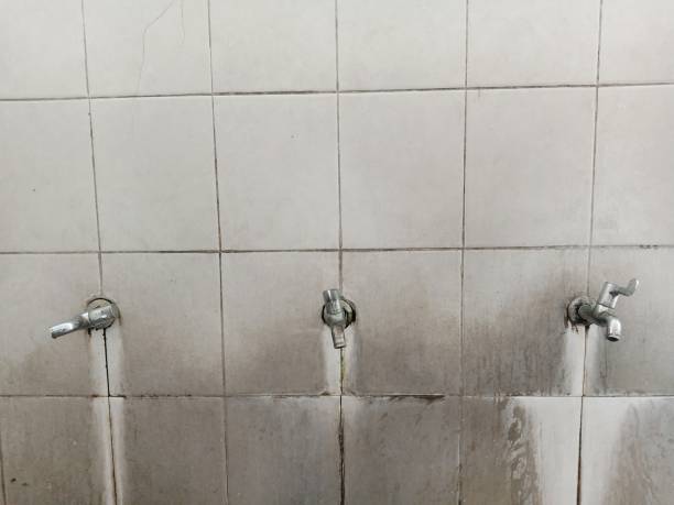 Best Carpet water damage restoration  in Yarrow Point, WA