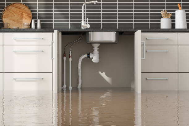 Best Basement water damage restoration  in Yarrow Point, WA